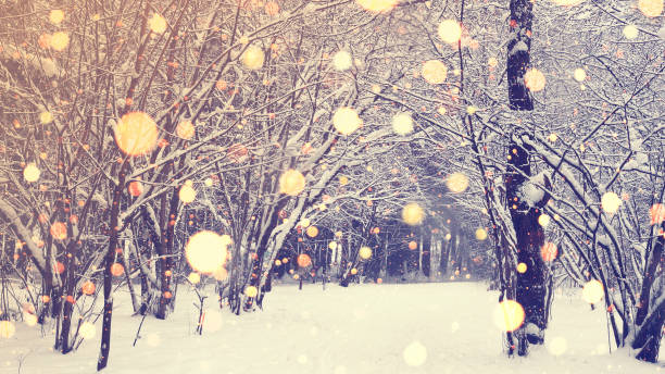 istock Christmas in Winter Park with light snowflakes. 855601056