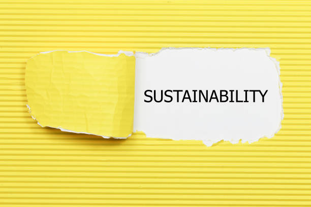 istock The word Sustainability appearing behind torn paper. 855603382