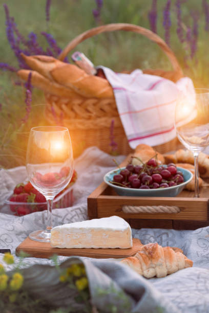 istock Picnic in the meadow 855605684