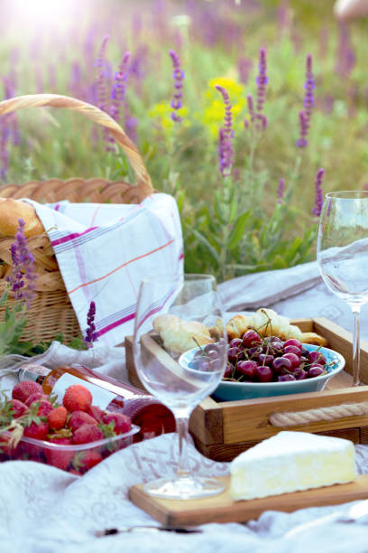 istock Picnic in the meadow 855614526