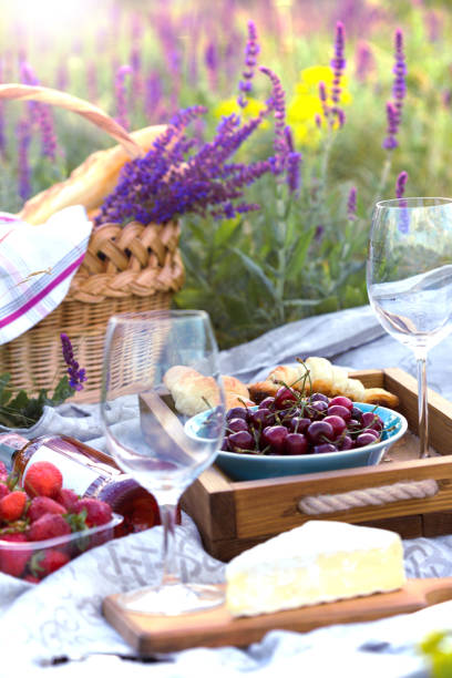istock Picnic in the meadow 855614650