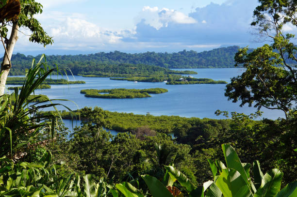 Tropical landscape with islets