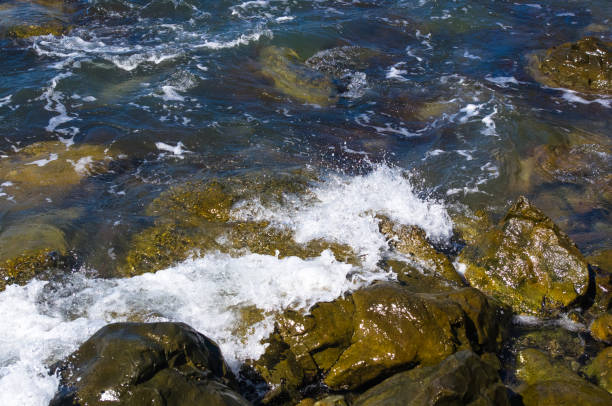 istock rocky sea shore with pebble beach, waves with foam 855620624