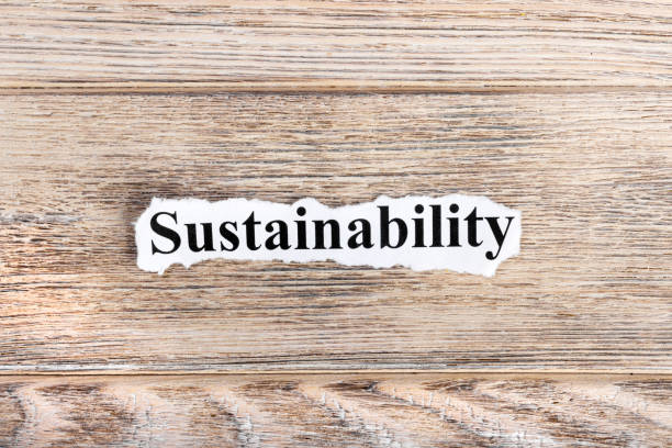 istock Sustainability text on paper. Word Sustainability on torn paper. Concept Image 855621850