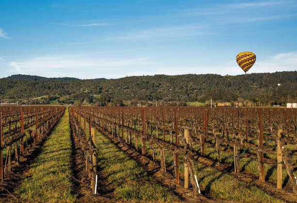 熱気球冬畑 - hot air balloon california napa napa valley ストックフォトと画像