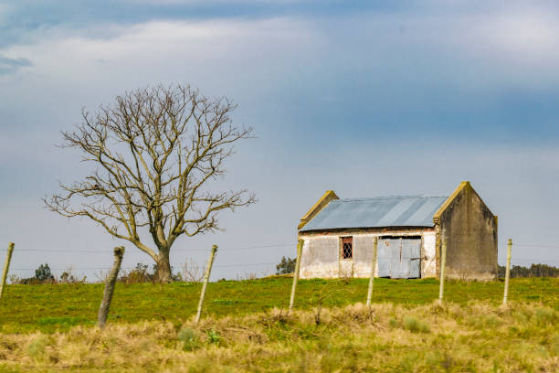 istock Rural House Landscape Scene, Uruguay 855629088