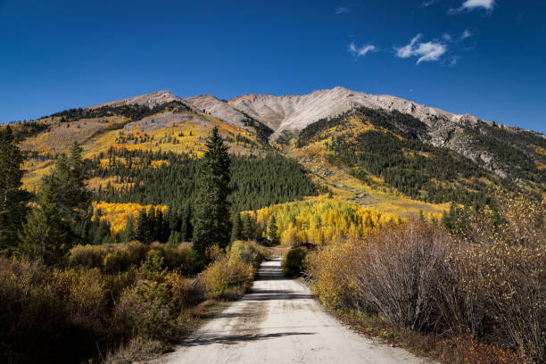istock Rocky Mountain Autumn 855634838