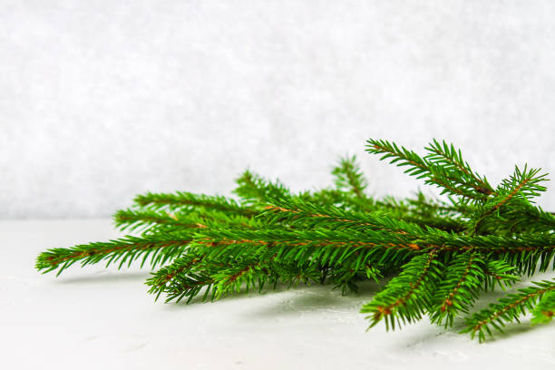 istock A fur-tree branch lies on a white table. Christmas decoration on a light background. 855637630