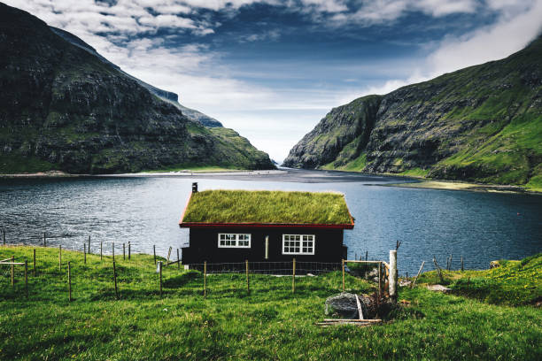 屋根の上の草と saksun の村 - scandinavian lake cottage house ストックフォトと画像