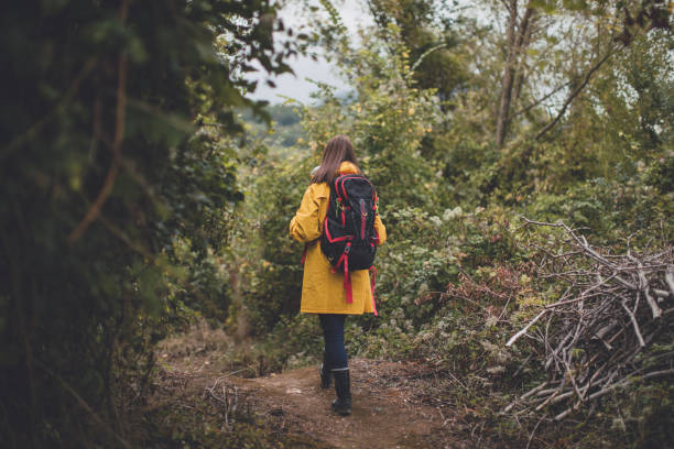 istock Young woman hiking in the forest 855641118