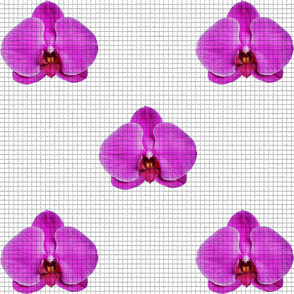 Pink Phalaenopsis orchids on white mosaic tiles. Vector isolated object