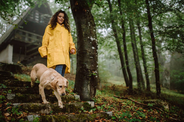 young woman enjoying rainy day with her dog - cottage autumn wood woods imagens e fotografias de stock