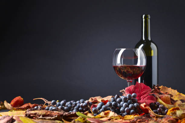 istock Red wine , grapes  and dry vine leaves . 855671092