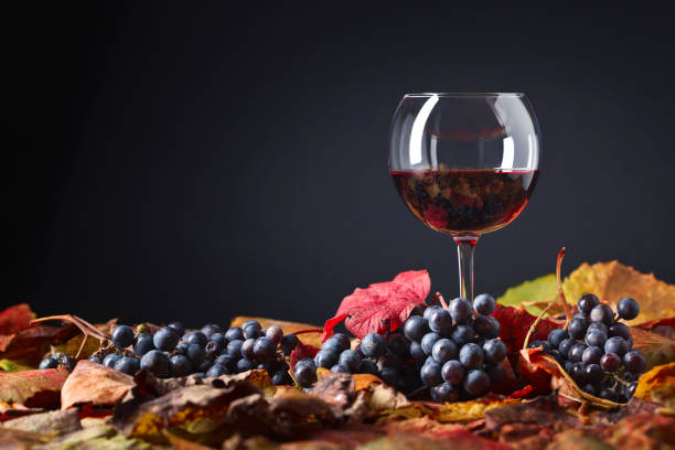 istock Red wine , grapes and dry vine leaves . 855671110