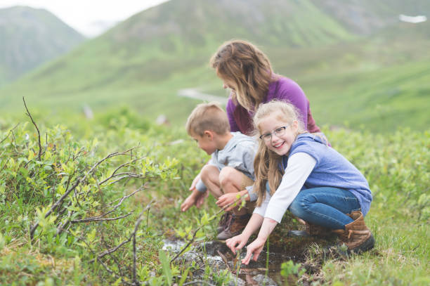 istock Mom looks for fish in a tiny Alaska stream with her. two children 855678150