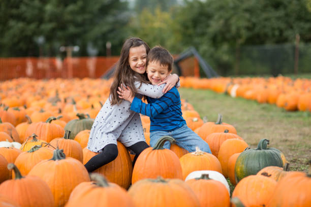 Fall harvest gourds agriculture photography