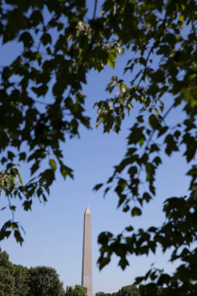 istock Washington monument seen from the National Mall looking east 855684370