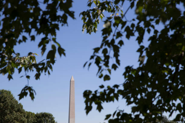 istock Washington monument seen from the National Mall looking east 855684392