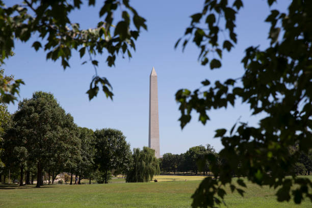 istock Washington monument seen from the National Mall looking east 855684398