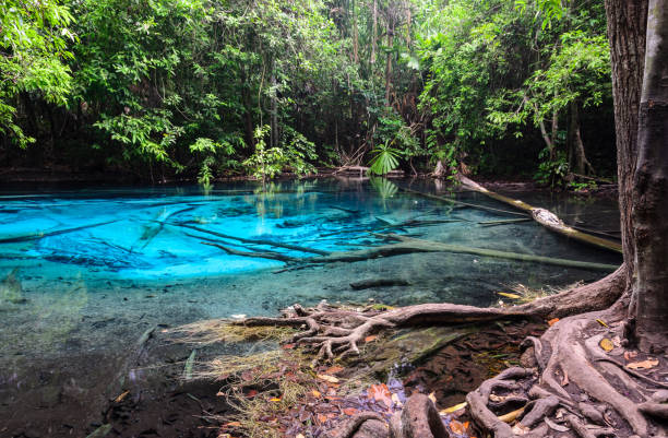 istock Emerald blue pool in Krabi province, Thailand 855687678