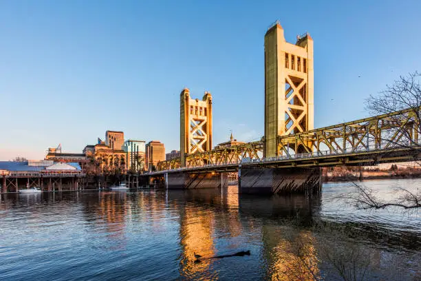 Photo of Gold Tower Bridge in Sacramento California during blue sunset with downtown and goose on floating log