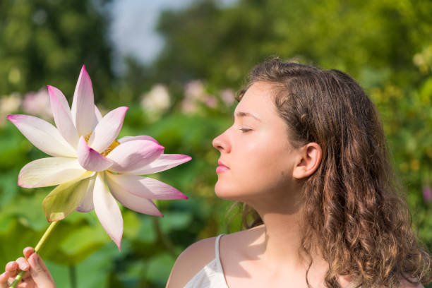 Portrait closeup of young woman face looking at bright white and pink lotus flower with yellow seedpod inside in garden, park Portrait closeup of young woman face looking at bright white and pink lotus flower with yellow seedpod inside in garden, park kenilworth castle stock pictures, royalty-free photos & images