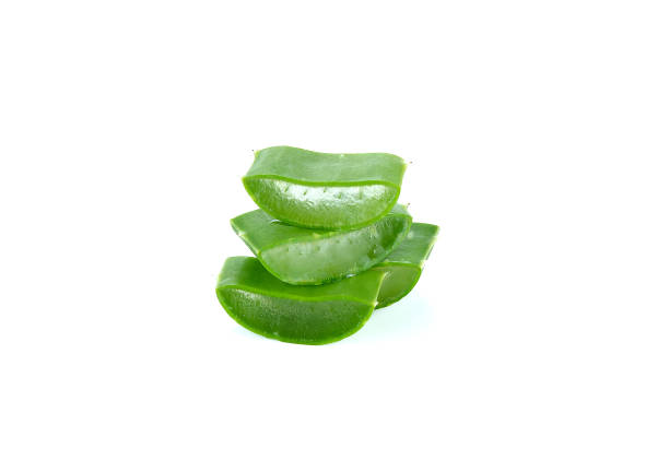 istock Aloe vera isolated on the white background 855706112