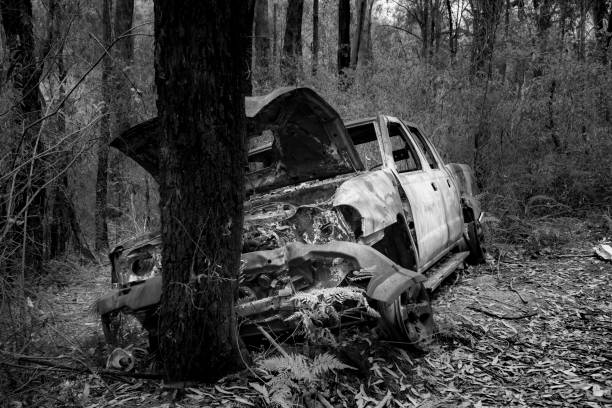 New South Wales, Australia - March 20, 2016: Black and white photo of a Burnt-out car in the forest