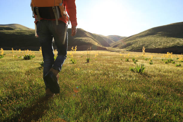 istock backpacking woman hiking in sunrise mountains 855717834