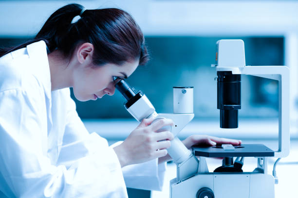 Scientist using a microscope Scientist using a microscope in a laboratory scientific exploration stock pictures, royalty-free photos & images