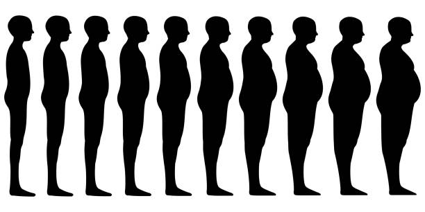 ilustrações de stock, clip art, desenhos animados e ícones de silhouette of a human men set blend from thin to slim to thick fat, vector fit slim man obesity, concept of weight loss, health and healthy lifestyle - overweight men people abdomen