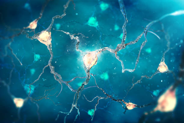Neurons in the brain on dark blue background stock photo