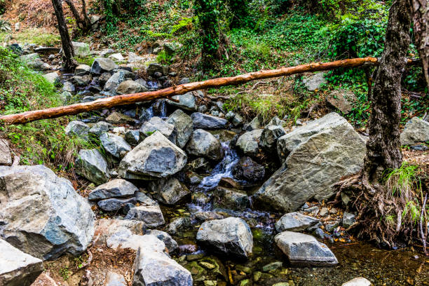 Fast mountain stream flows among the large stones in the shade of the cleft, forming a neat little waterfalls.