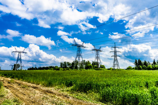 istock Power line in the middle of green fields 855725570