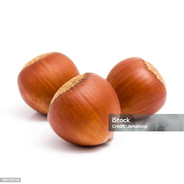 Fresh Three Hazelnuts Isolated On White Background Stock Photo - Download Image Now
