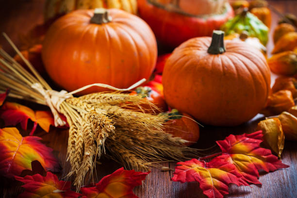 istock Traditional pumpkins for Thanksgiving in warm colors 855737530