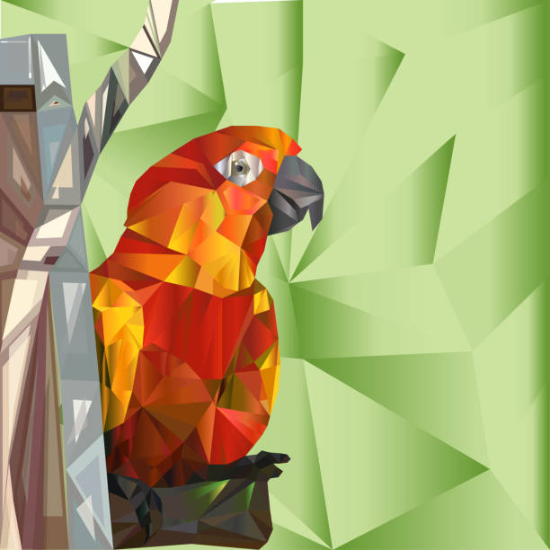 красный желтый попугай сидит на ветке дерева. низкая поли-дизайн. креативная векторная иллюстрация с треугольными полигонами - vibrant color birds wild animals animals and pets stock illustrations