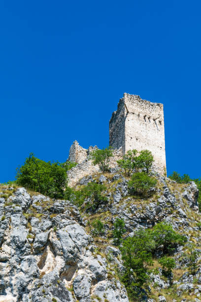 istock a medieval fortification in Milesevac in Serbia 855752122