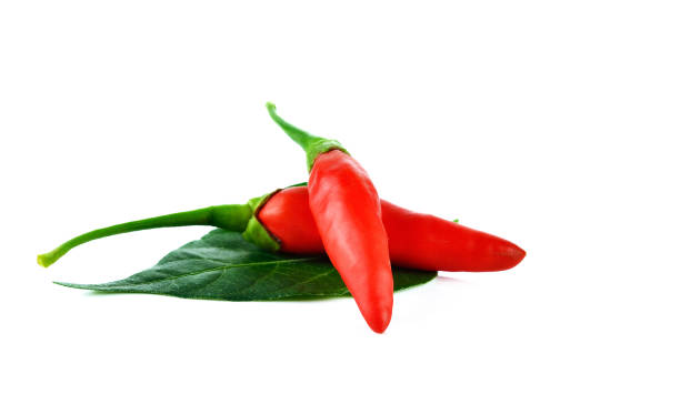 istock red hot bird chili pepper nature isolated on white background 855753166