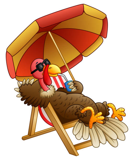 stockillustraties, clipart, cartoons en iconen met beeldverhaal turkije vogel zittend op de strandstoel - sunbathing