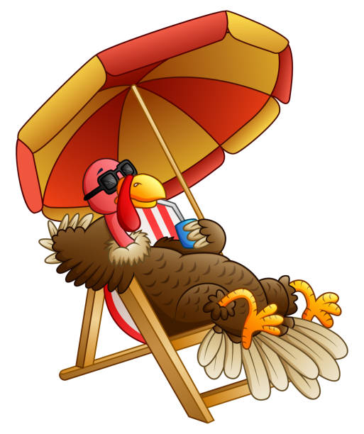 Cartoon Turkey Bird Sitting On Beach Chair Stock Illustration - Download  Image Now - Türkiye - Country, Beach, Sunglasses - iStock