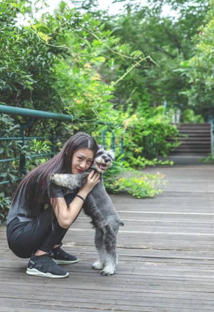 istock beautiful female owner hugging her schnauzer in park 855770676