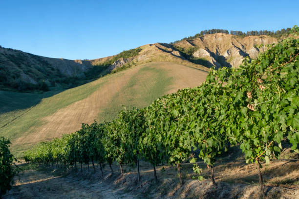 istock Landscape between Riolo Terme and Brisighella (Emilia Romagna) 855770786