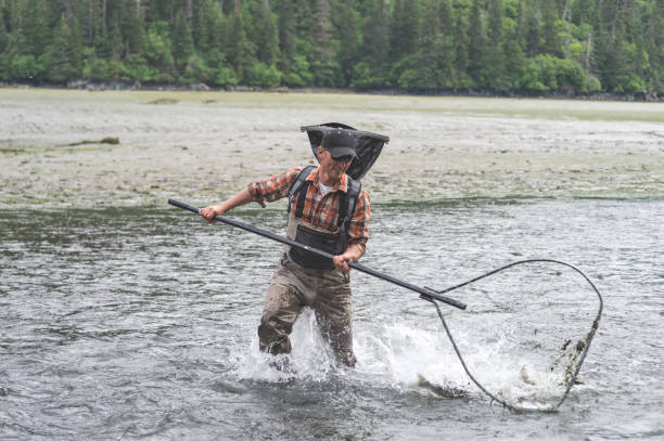 istock Alaskan net fishing! 855780092