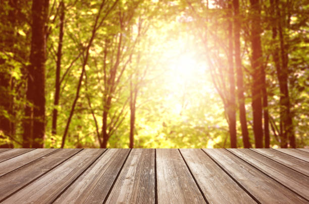 istock Wood table top and blurred autumn tree and leaf background - can used for display or montage your products. 855782232