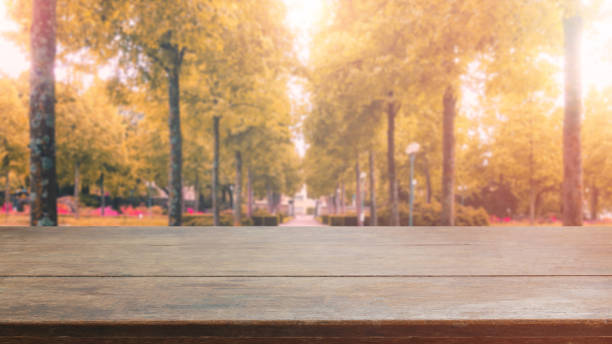 istock Wood table top and blurred autumn tree and leaf background - can used for display or montage your products. 855782262
