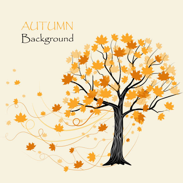 illustrations, cliparts, dessins animés et icônes de automne érable - maple tree tree silhouette vector