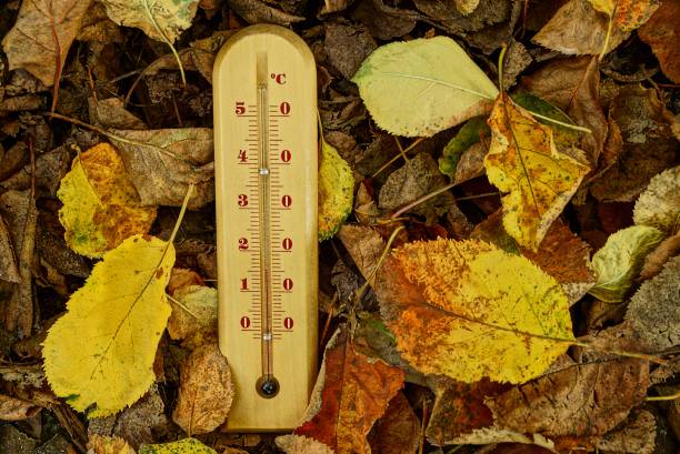 istock A wooden thermometer on dry fallen autumn leaves 855787820