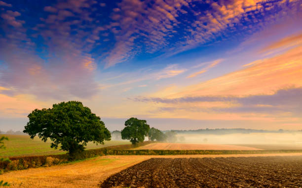 sunrise landscape at enfield uk