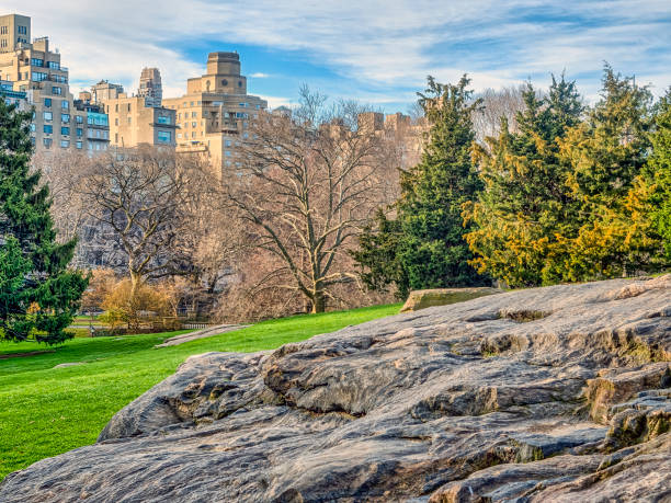 istock Central Park, New York City spring 855799308